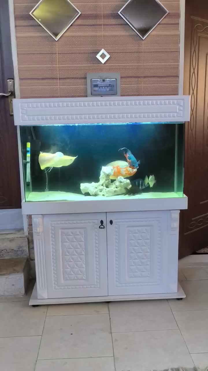 آکواریوم 1 متری با کمد و لوازم و ماهی در حد نو|ماهی|رباطکریم, رباطکریم|دیوار