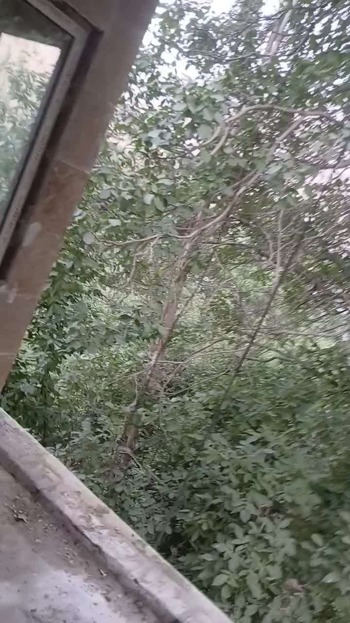 خدمات کناف سقف و دیوار برق کاری و رنگ کناف تایل|خدمات پیشه و مهارت|تهران, مینای شمالی (مخبر)|دیوار