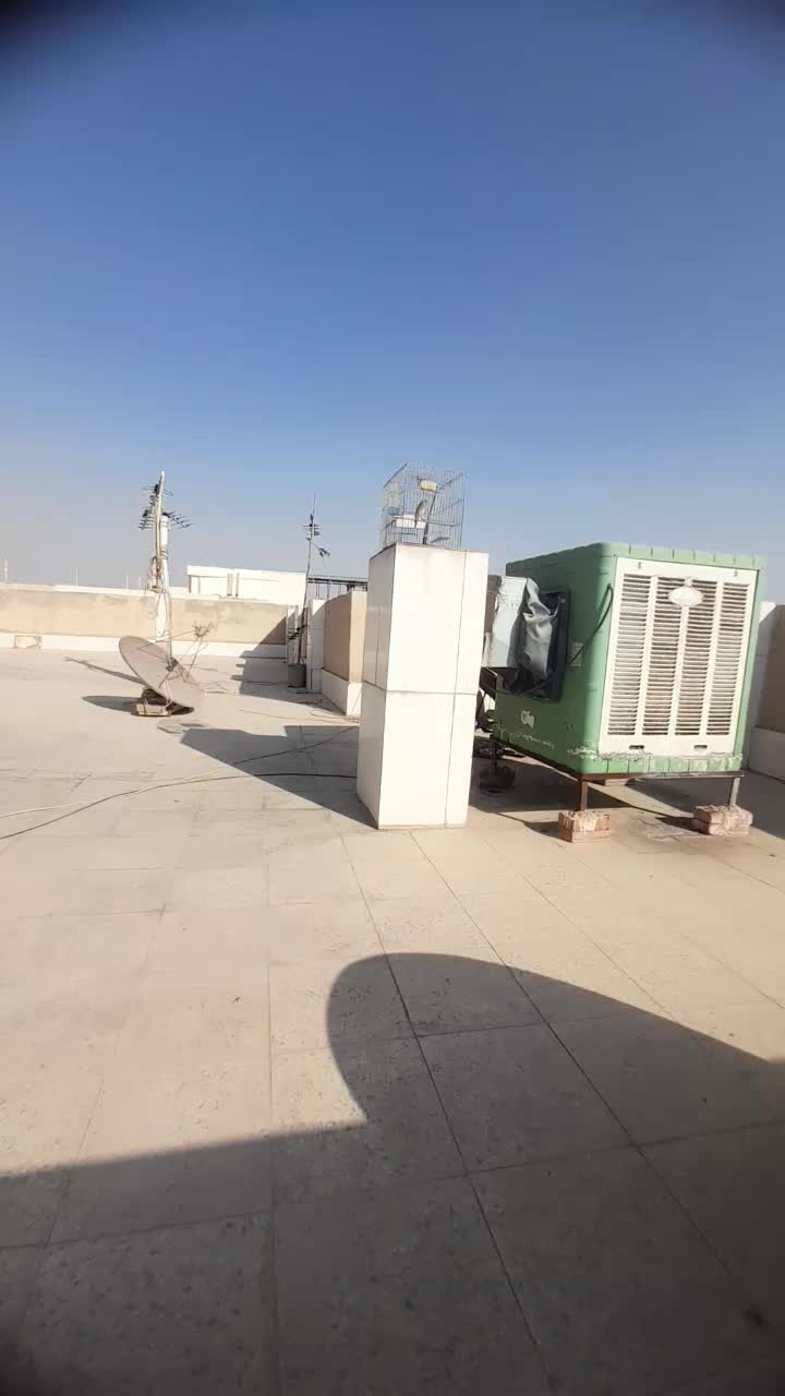 سهره قناری لر بخوان|پرنده|تهران, هاشمی|دیوار