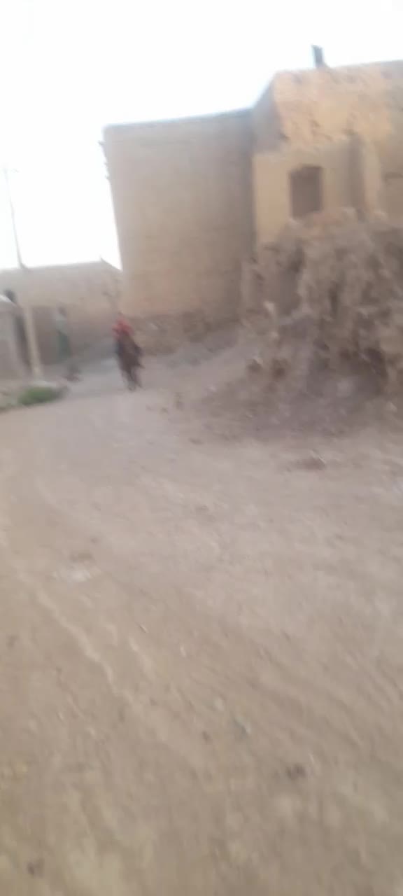 اسب یورقه|اسب و تجهیزات اسب‌سواری|نیشابور, کوی فرهنگیان|دیوار