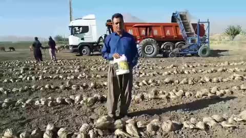 کود محلول تقویتی افزایش سایز و وزن چغندر (وارداتی)|خدمات باغبانی و درختکاری|کرمانشاه, |دیوار