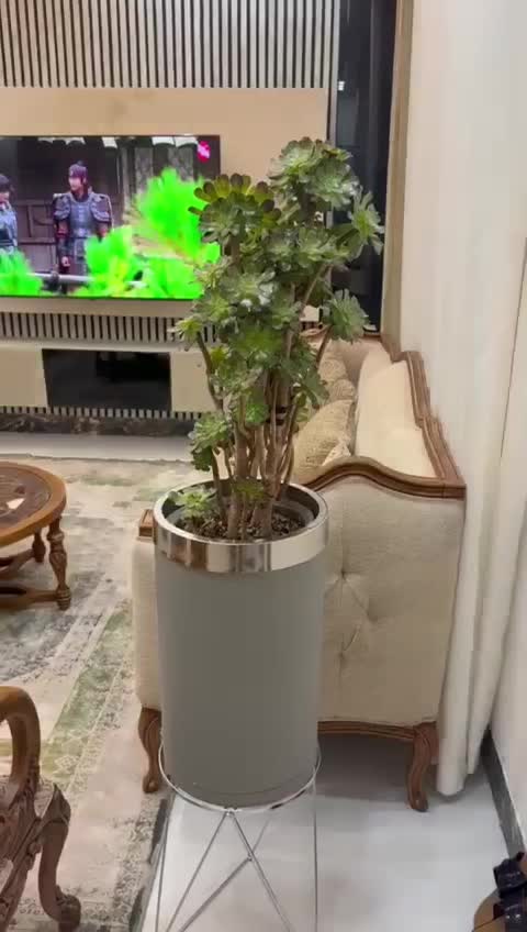 طراحی اجرا انواع پله گرد فلزی بتنی نرده سنگ پله|خدمات پیشه و مهارت|کرمان, |دیوار