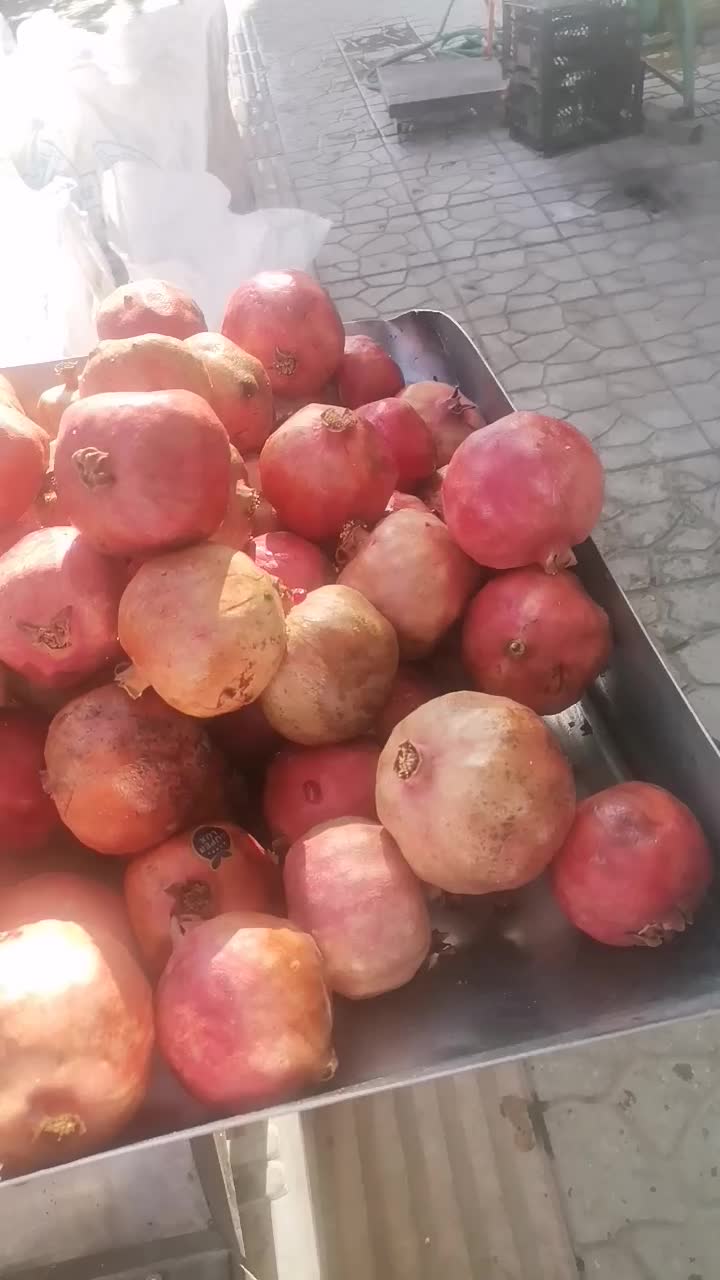 سلام آب آنارگیری|خوردنی و آشامیدنی|حمیدیا, |دیوار