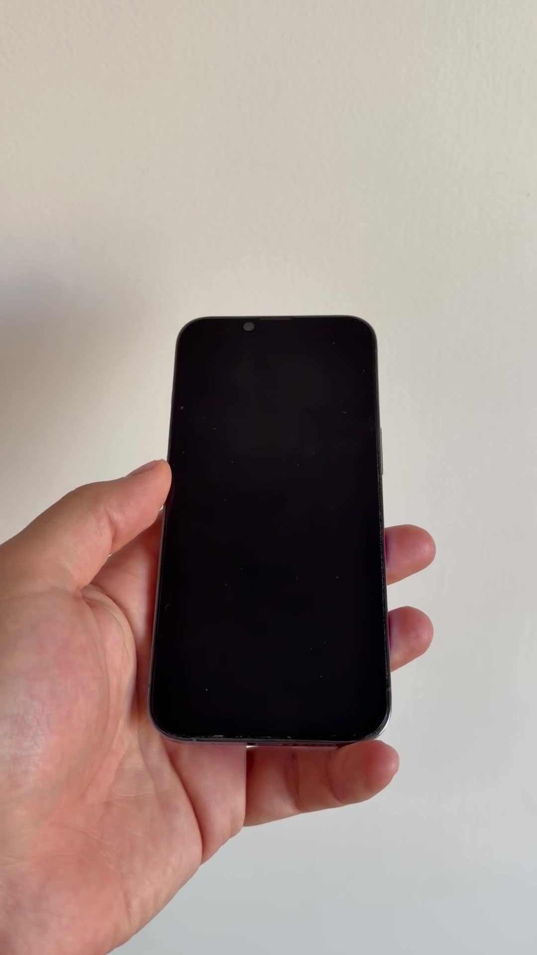 iPhone 13 Pro - 512G - Sierra Blue|موبایل|تهران, سوهانک|دیوار