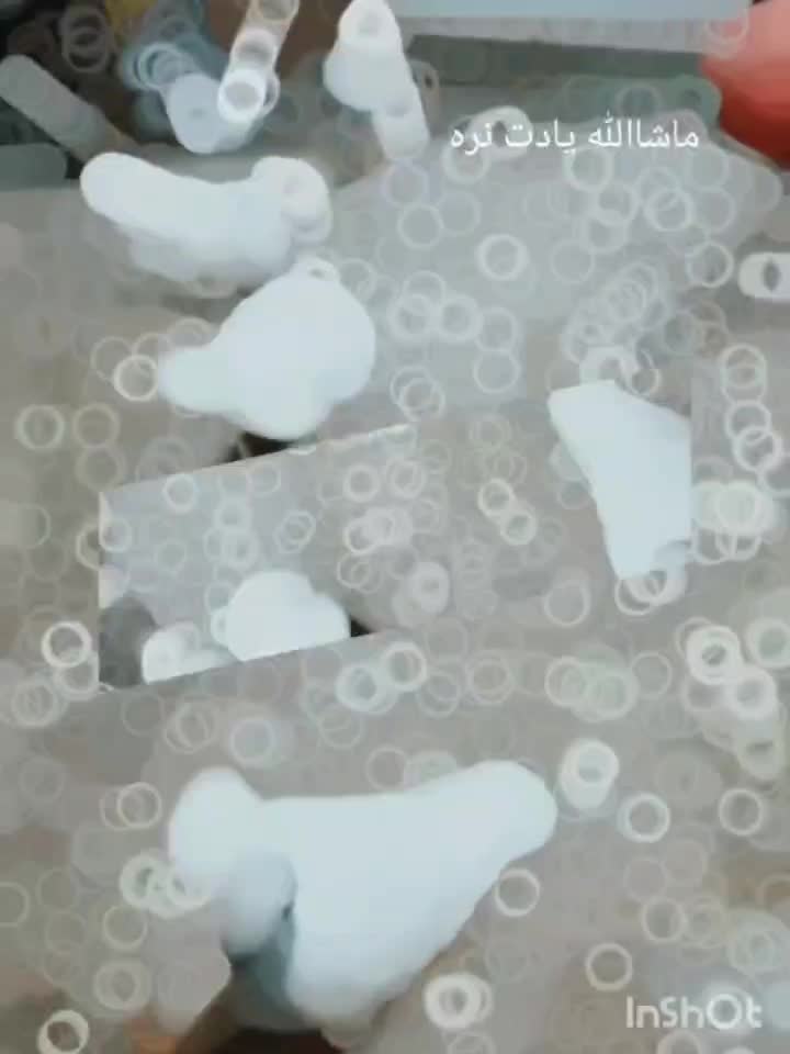 طوقی|پرنده|جوکار, |دیوار