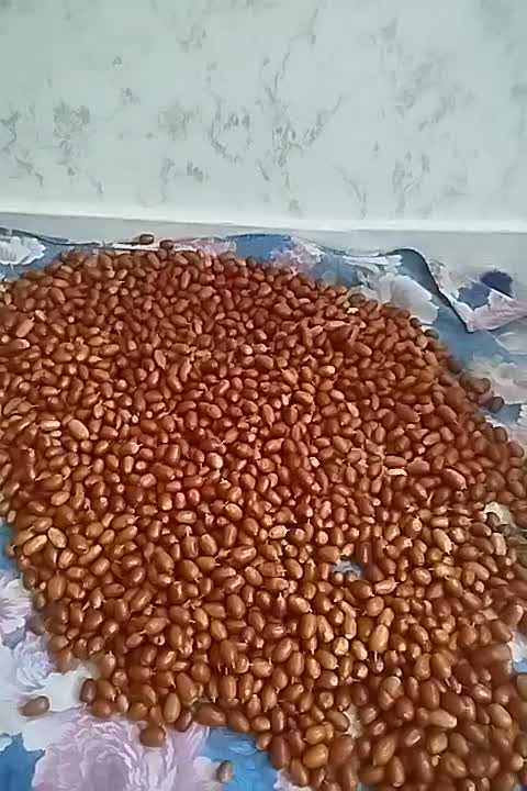 سنجد|خوردنی و آشامیدنی|باسمنج, |دیوار