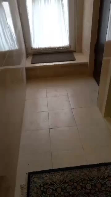 اجاره سوئیت مبله|اجارهٔ آپارتمان|رشت, شالکو|دیوار