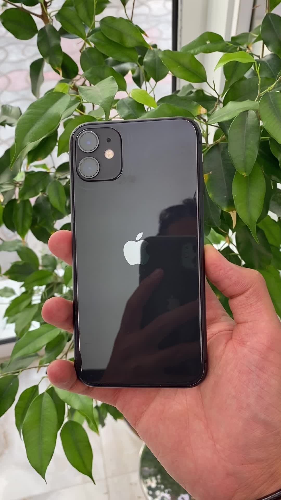 اپل iPhone 11 با حافظهٔ ۱۲۸ گیگابایت باتری ۱۰۰|موبایل|سبزوار, پاسداران|دیوار