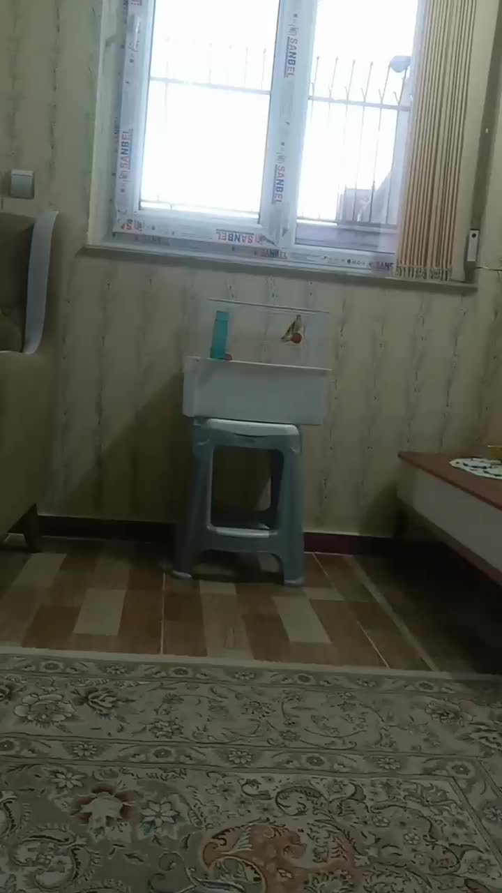 سهره. یاسمین مست.بخون.عتیقه|پرنده|اردبیل, |دیوار