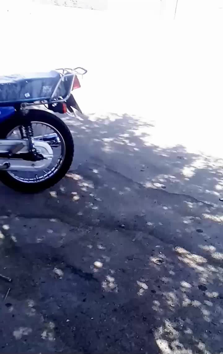 موتور سیکلت ساوین مدارک کامل همراه با کارت سوخت|موتورسیکلت|داراب, |دیوار