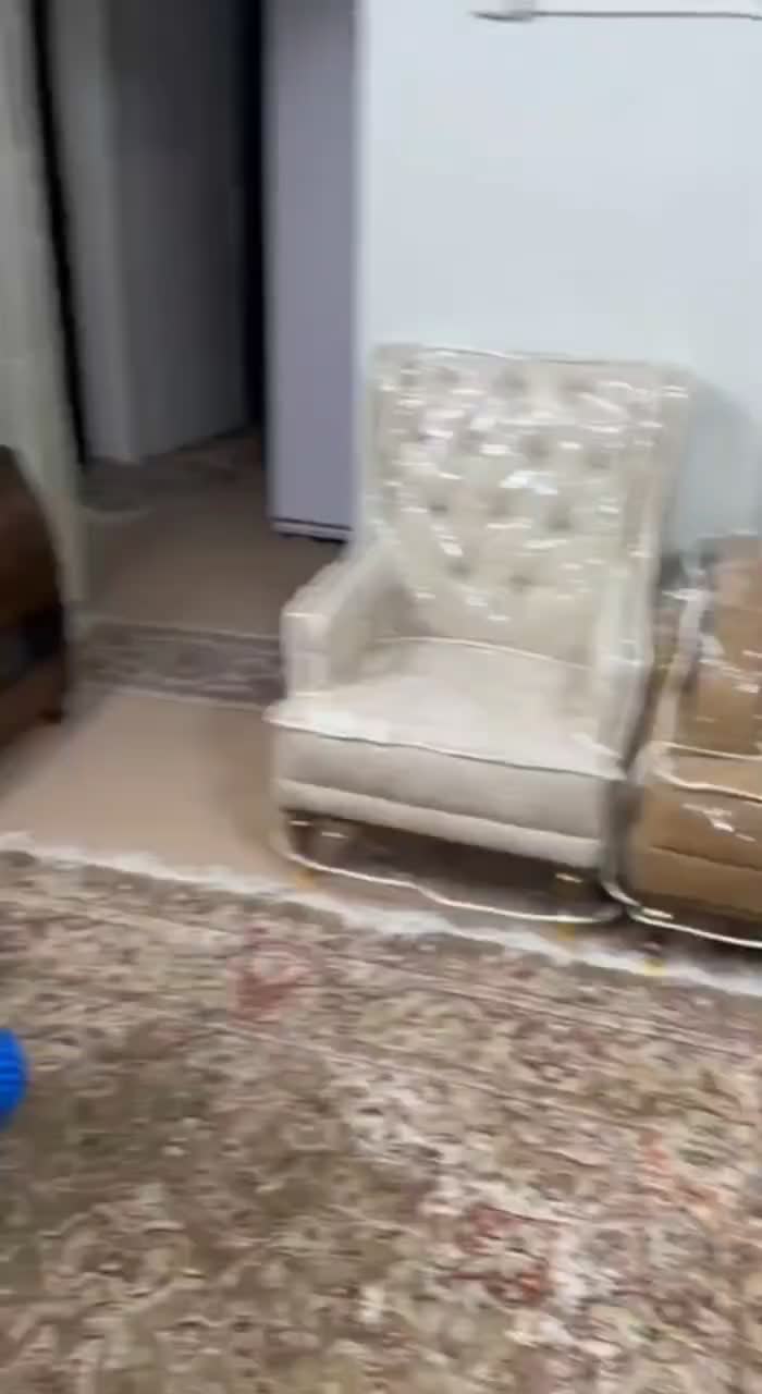 کاورمبل ژلاتینی پیراهن مبل ژله ای روکش مبل طلقی|خدمات پیشه و مهارت|تهران, شهرک ولیعصر|دیوار