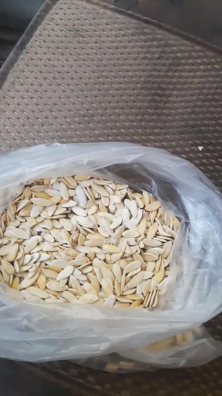 تخمه طالبی خربزه امساله|خوردنی و آشامیدنی|قم, دورشهر|دیوار