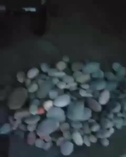 چراغ یووی|لامپ و چراغ|شیراز, محراب|دیوار