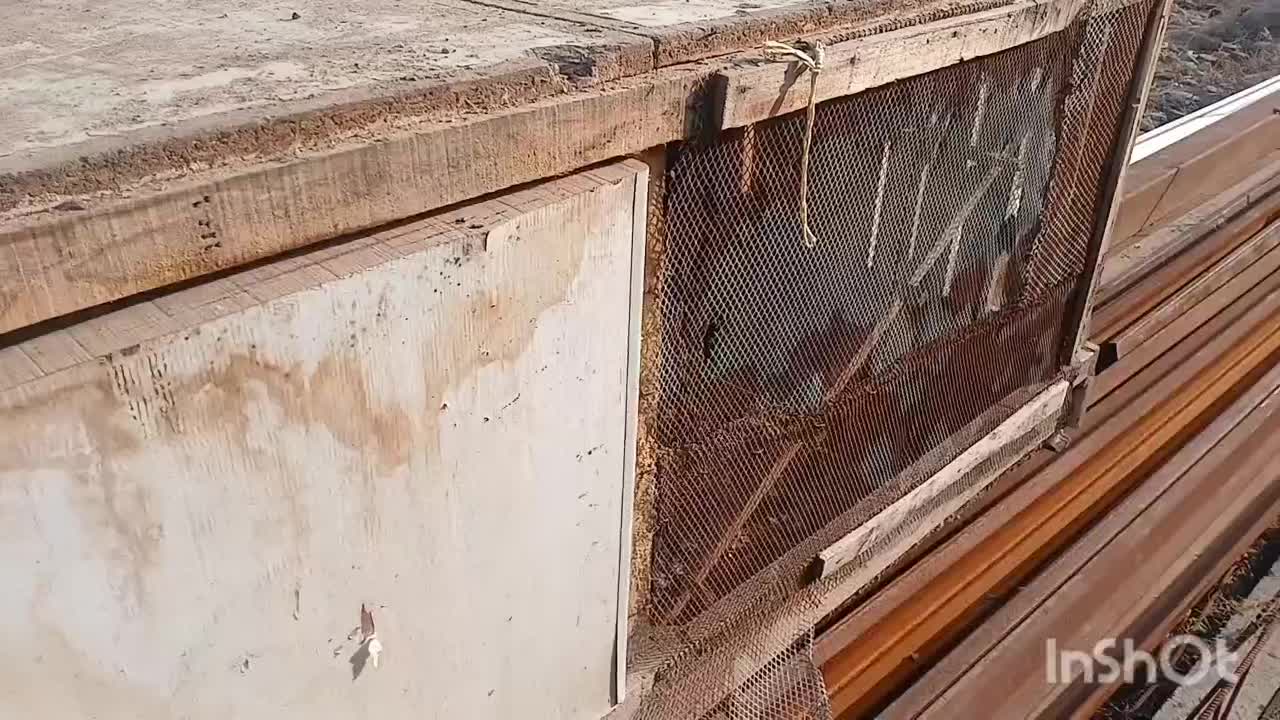 قفس|لوازم جانبی حیوانات|صوفیان, |دیوار