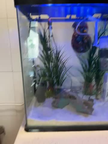 ست کامل آکواریوم با تجهیزات حرفهای|ماهی|تهران, قیطریه|دیوار