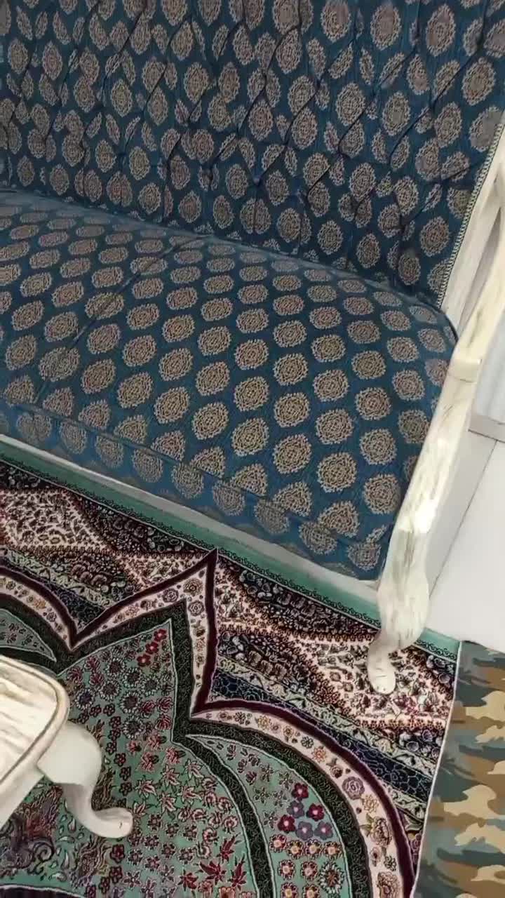 مبل هفت نفره چوب راش کرجستان|مبلمان خانگی و میز عسلی|دلیجان, |دیوار