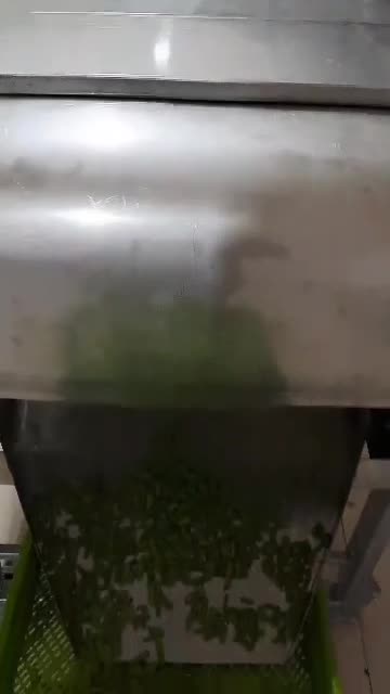 لوبیا سبز تازه خرد شده پخش روزانه|خوردنی و آشامیدنی|ری, شهرک نظامی|دیوار