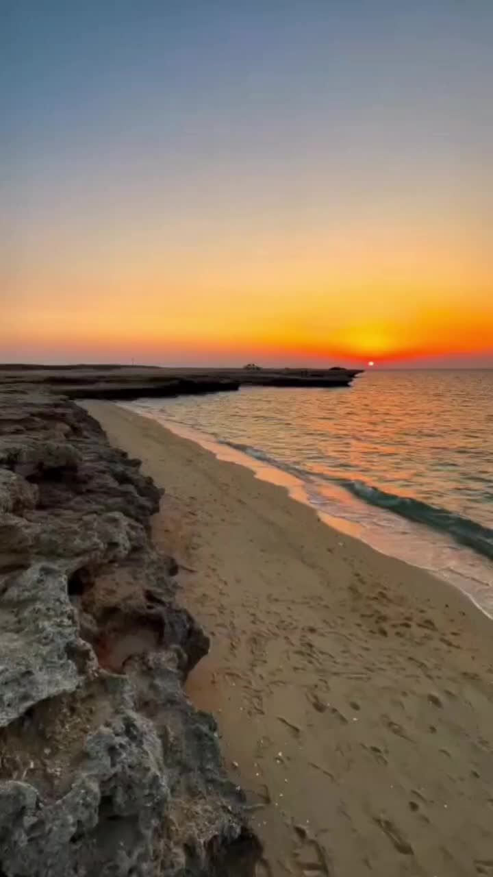 تور یکروزه گشت جزیره قشم|تور و چارتر|قشم, |دیوار