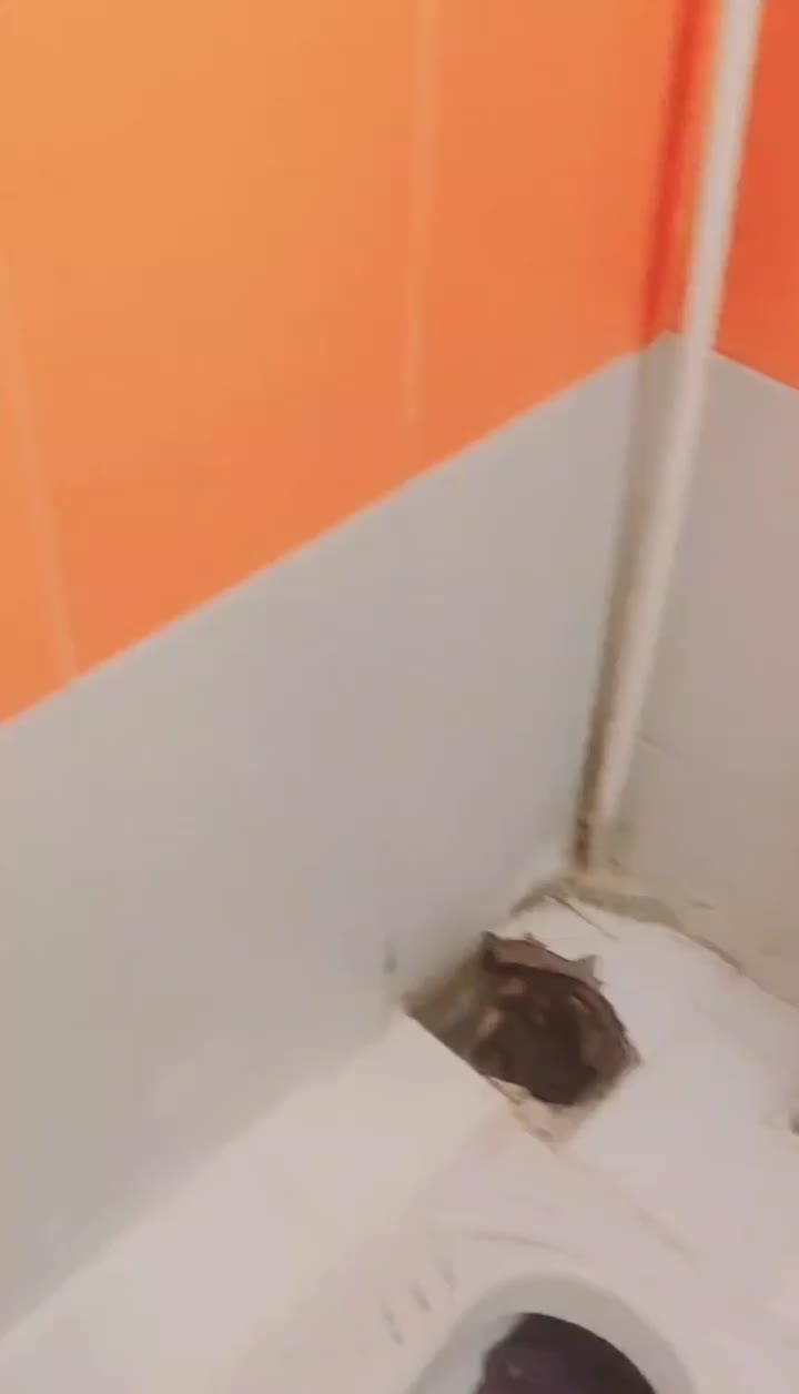 نشتی رفع نم و رطوبت رفع افت فشار پکیج نشیابی صداقت|خدمات پیشه و مهارت|زاهدان, |دیوار