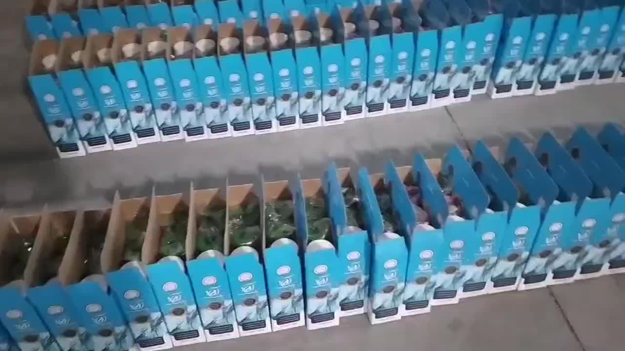 تعویص فیلتر و تعمیر فوق تخصصی دستگاه تصفیه آب|آب‌سردکن و تصفیه آب|مشهد, گلبرگ شمالی|دیوار