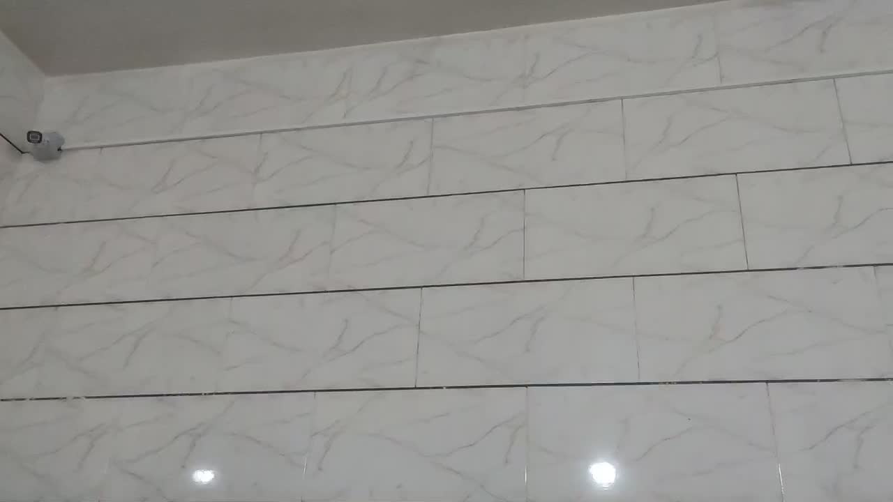 دزدگیر و دوربین مدار بسته و اینترنت وجک بازویی|خدمات پیشه و مهارت|شیراز, گلدشت معالی‌آباد|دیوار