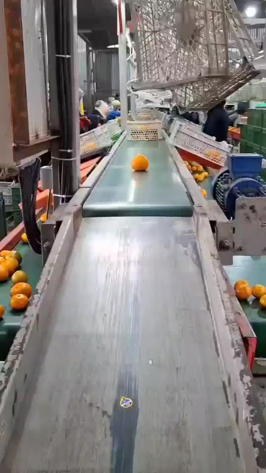 دستگاه سورتینگ مرکبات و سبد گردان و تور پیج|ماشین‌آلات صنعتی|نکا, |دیوار