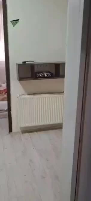 تورویژه مشهدمقدس نصف نقدنصف چک4ماهه بدون کارمزد|تور و چارتر|اصفهان, شهرک کاوه|دیوار