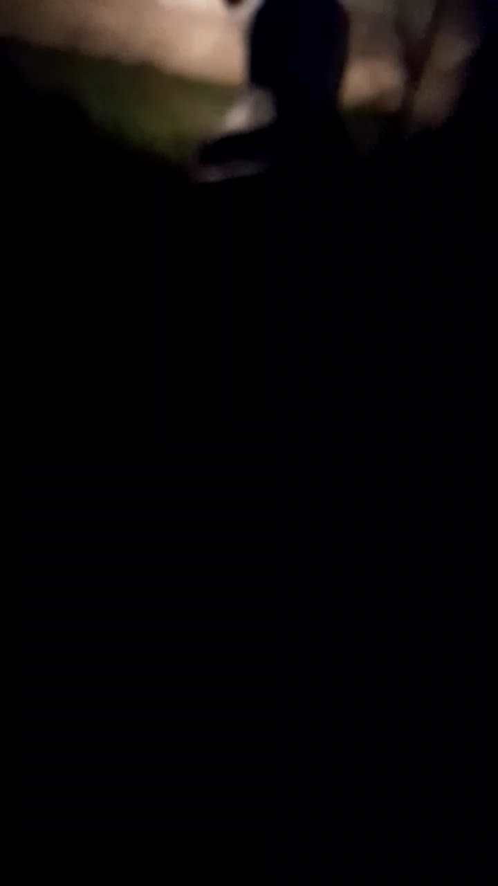 موتور مزایده|موتورسیکلت|نمین, |دیوار