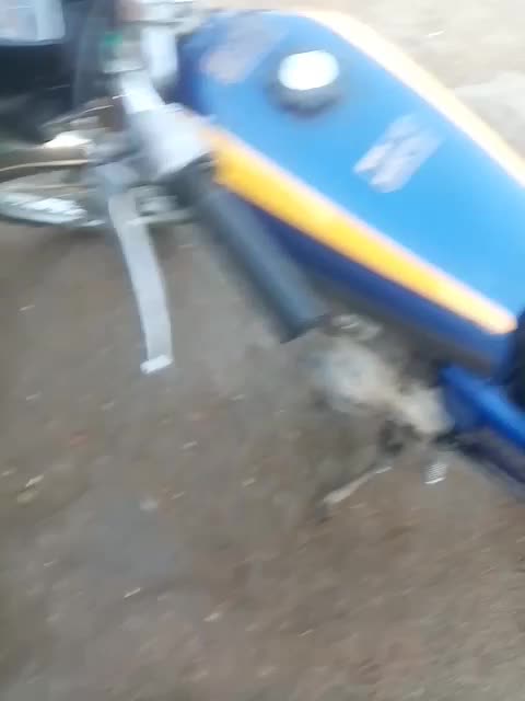 متور 125|موتورسیکلت|شیراز, بید زرد|دیوار