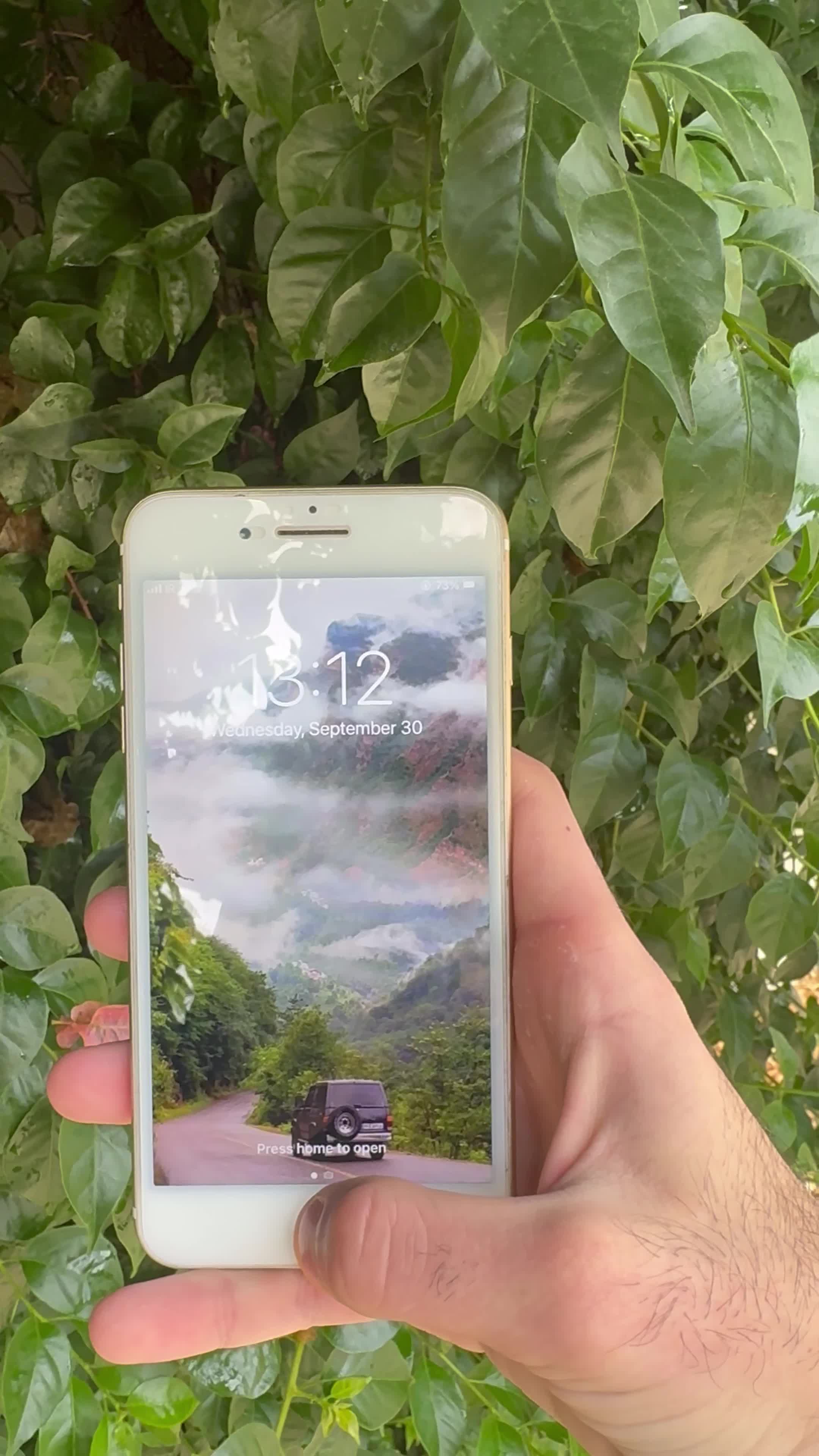 iPhone 7 plus|موبایل|نکا, |دیوار
