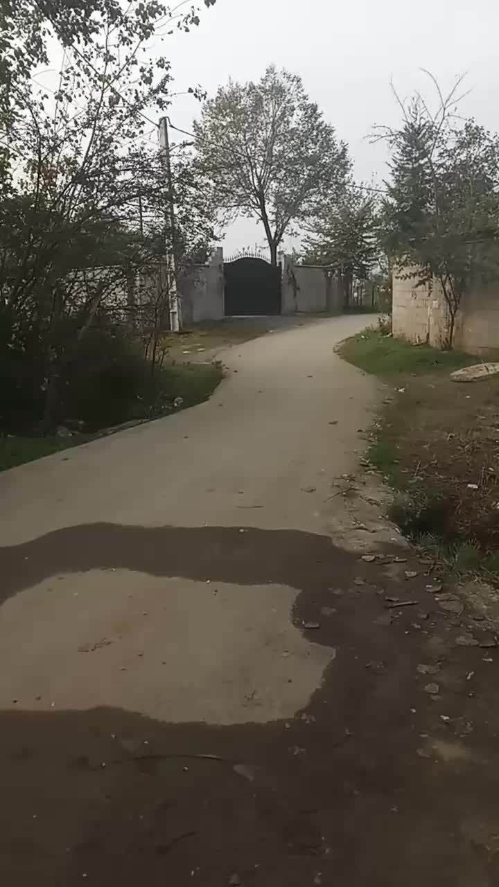 خانه محوطه دوبلکس دوخوابه|فروش خانه و ویلا|احمدسرگوراب, |دیوار