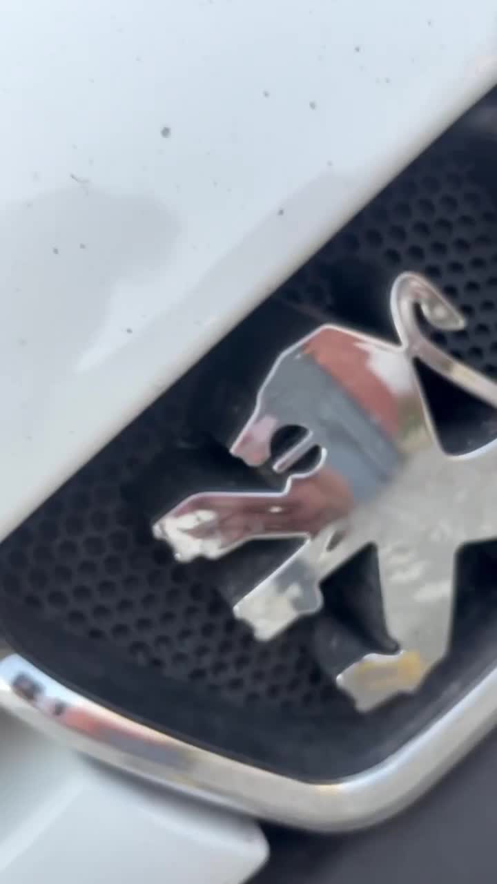 206sd 97|خودرو سواری و وانت|تبریز, |دیوار