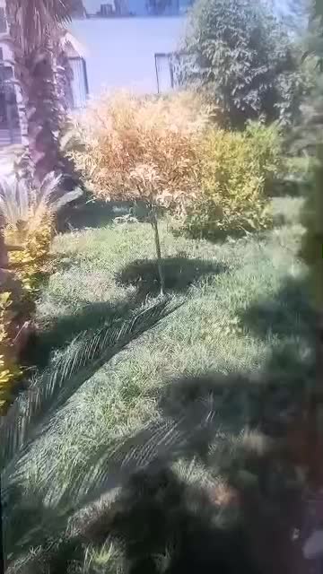 باغبانی تخصصی فضا سبز وطراحی واجرا|خدمات باغبانی و درختکاری|رشت, رودباری|دیوار