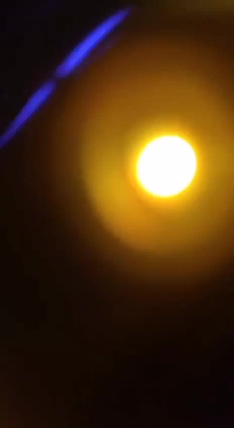 دوچرخه فروشی کهنوج|دوچرخه، اسکیت، اسکوتر|کهنوج, |دیوار