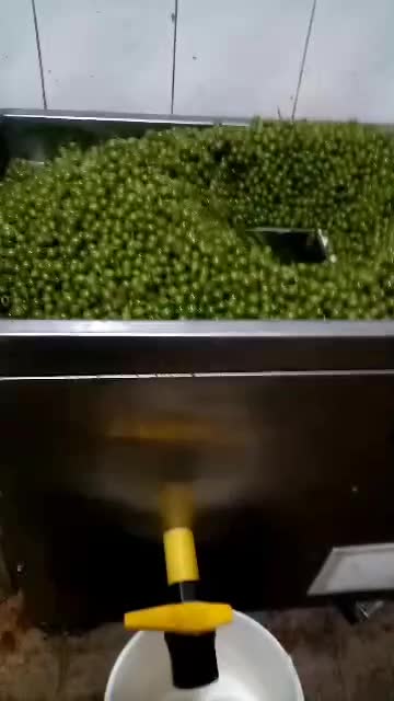 دستگاه آبغوره گیرپرسی آب لیموگیری آبلیموگیراب غوره|ماشین‌آلات صنعتی|تهران, یافت آباد جنوبی|دیوار