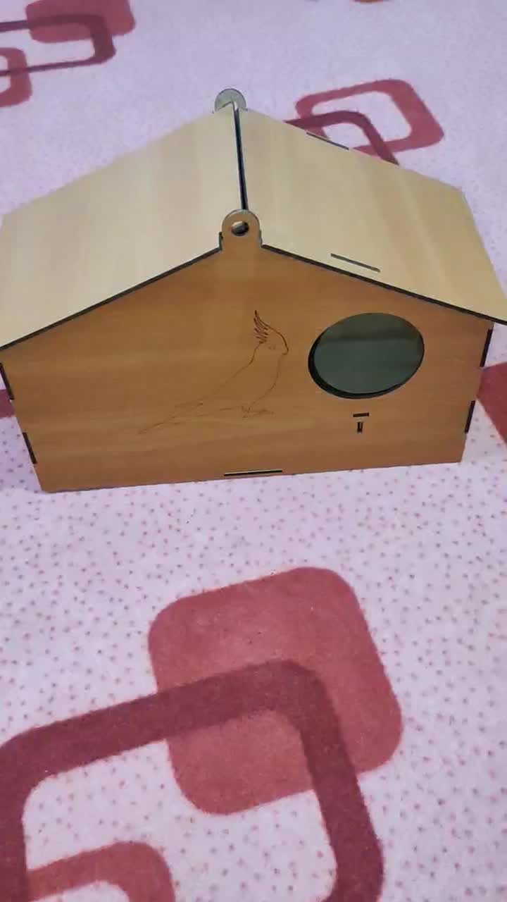 لونه عروس هلندی|لوازم جانبی حیوانات|سقز, |دیوار