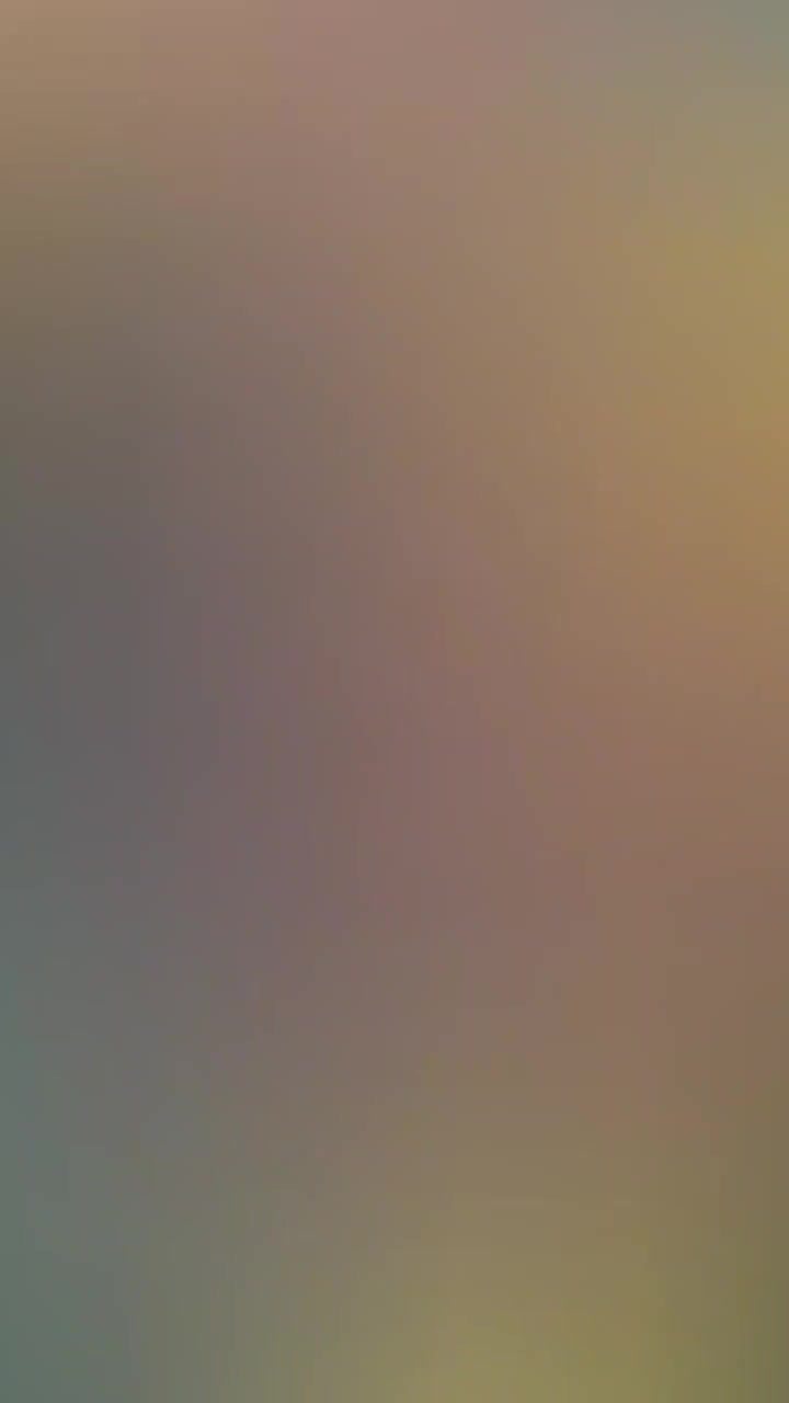 کیف چرم|کیف، کفش، کمربند|بوشهر, |دیوار