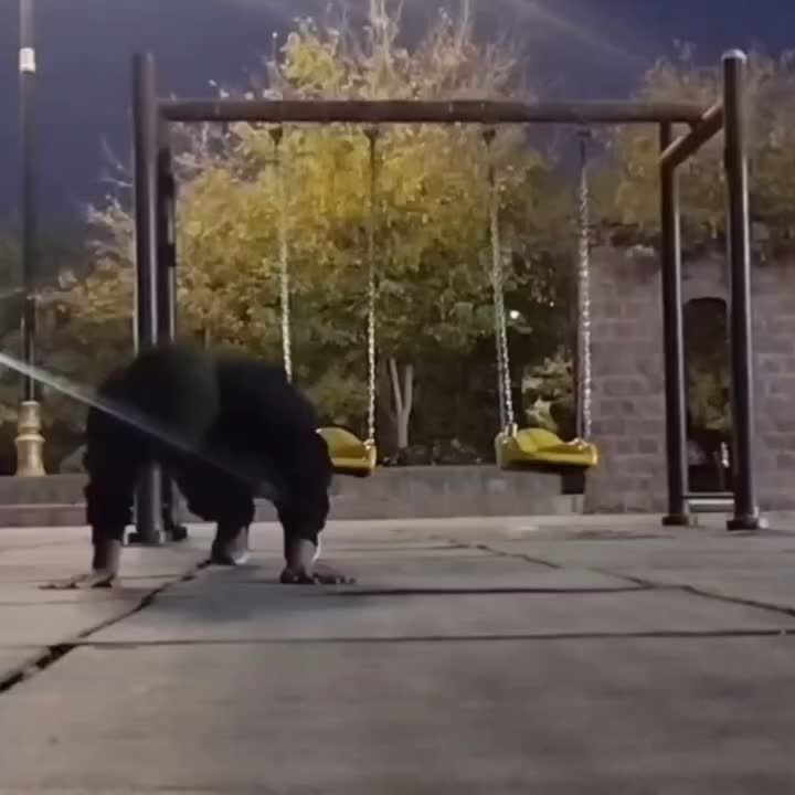 کمک|فعالیت داوطلبانه|بیرجند, |دیوار