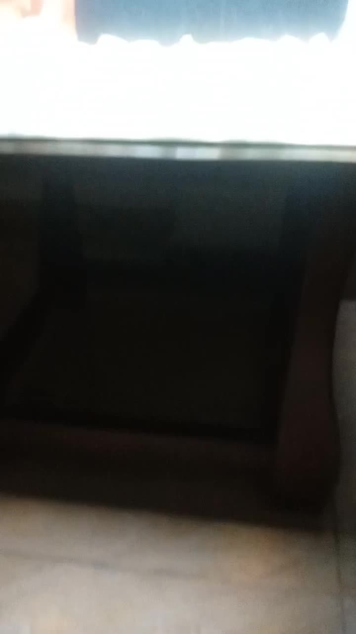 ماهی آکواریومی|ماهی|لاهیجان, کوی آزادگان|دیوار