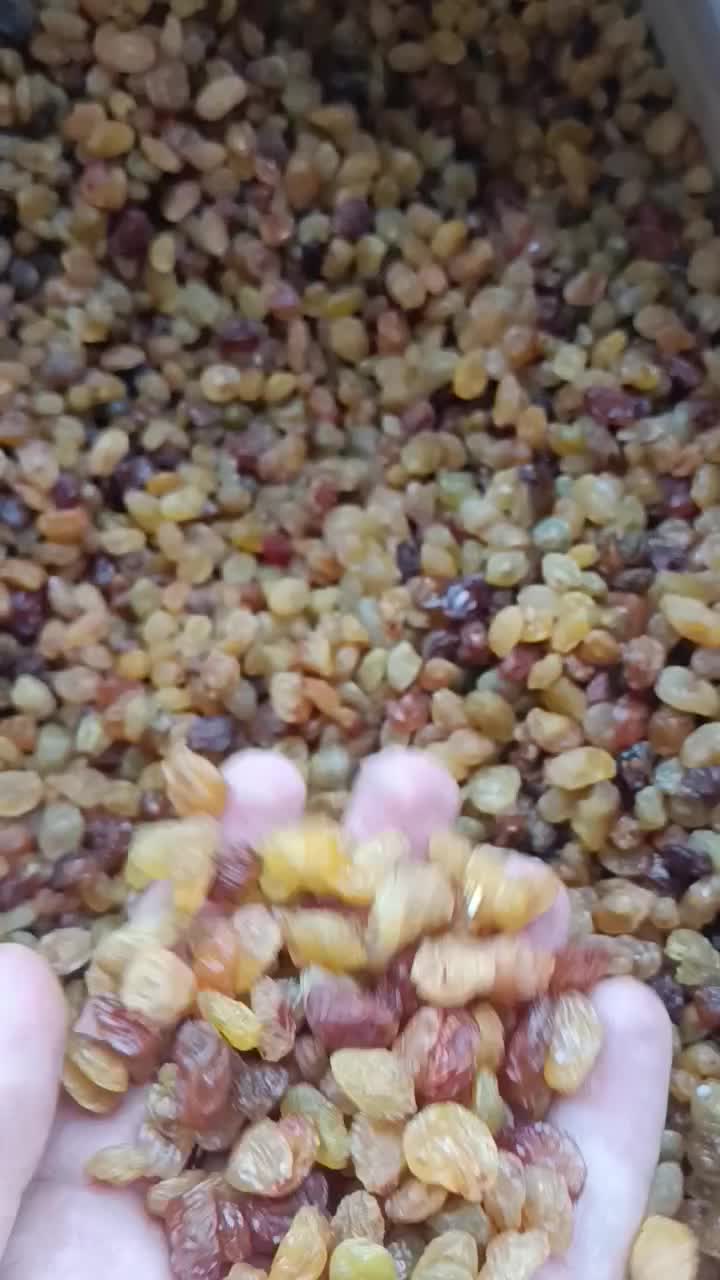 کشمش پلویی افتابی و طلایی و گلدن|خوردنی و آشامیدنی|اصفهان, زهران|دیوار