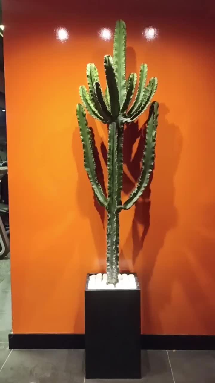 قفل باشگاهی قفل کمدی قفل دیجیتال اتوماسیون لاکر|خدمات پیشه و مهارت|شیراز, زرهی|دیوار