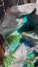 آب نما فایبر نونو|صنایع دستی و سایر لوازم تزئینی|شیراز, انجیر|دیوار