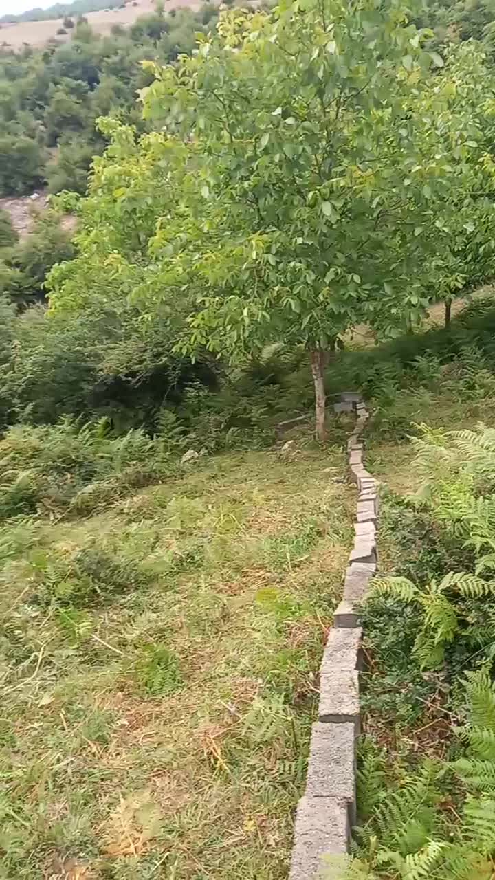 فروش زمین با قابلیت ساخت داخل بافت کاربری مسکونی|فروش زمین و ملک کلنگی|کیاسر, |دیوار