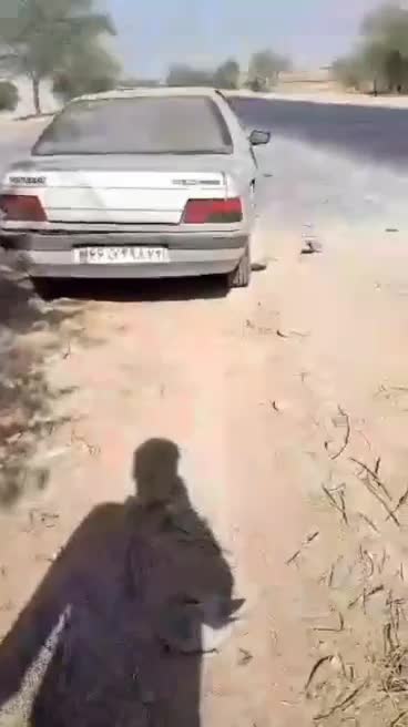 پزو مدل ۸۹ دوگانه فابریک|خودرو سواری و وانت|امیدیه, |دیوار