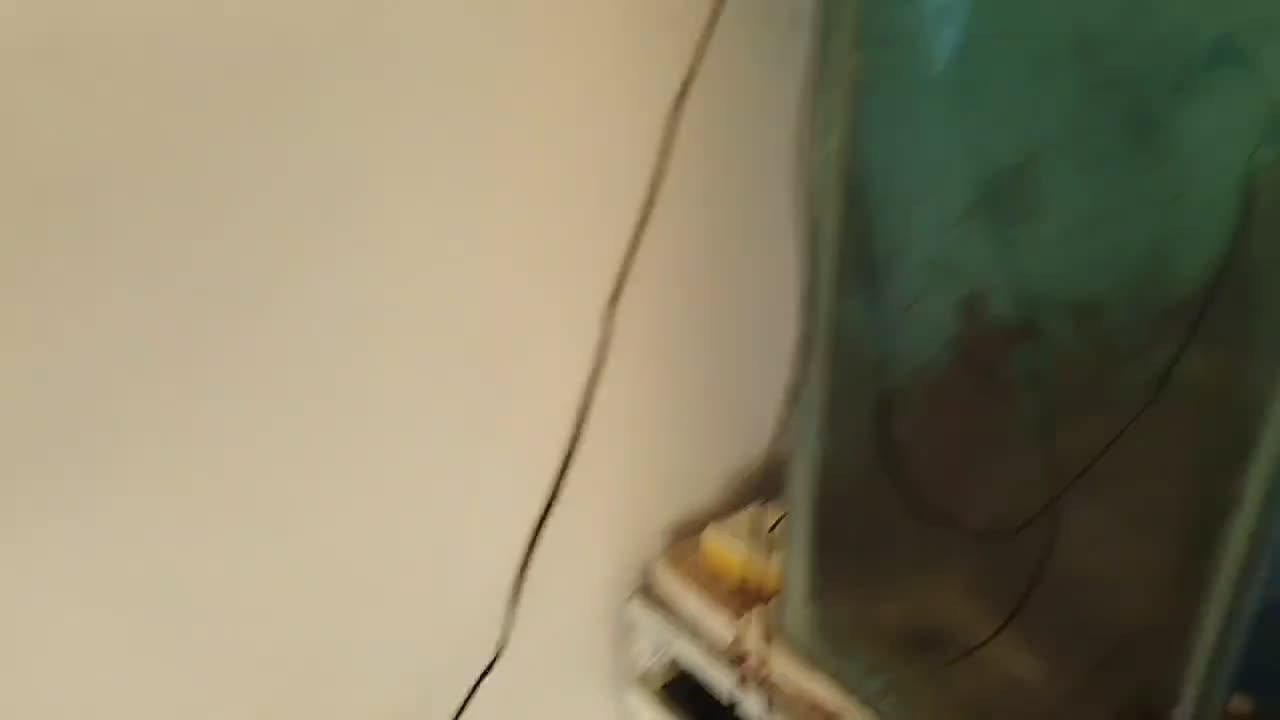 ماهی|ماهی|نیشابور, شهرک رضوی|دیوار