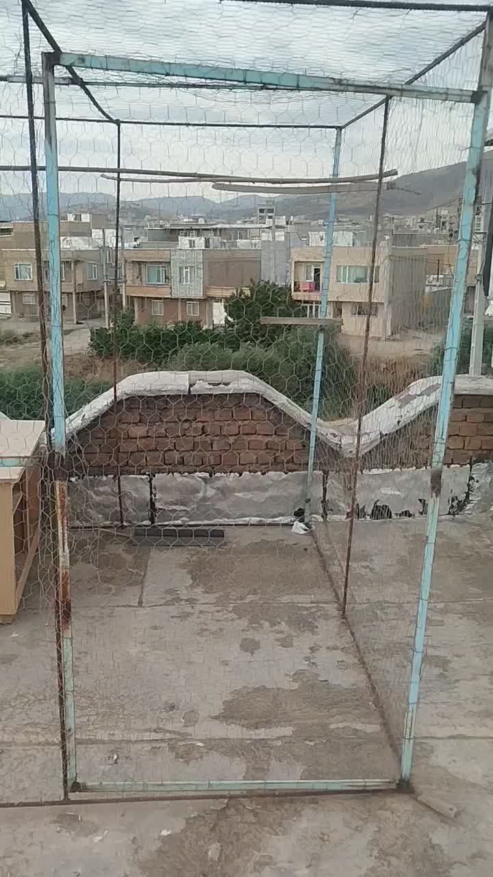 توربند|لوازم جانبی حیوانات|بانه, |دیوار