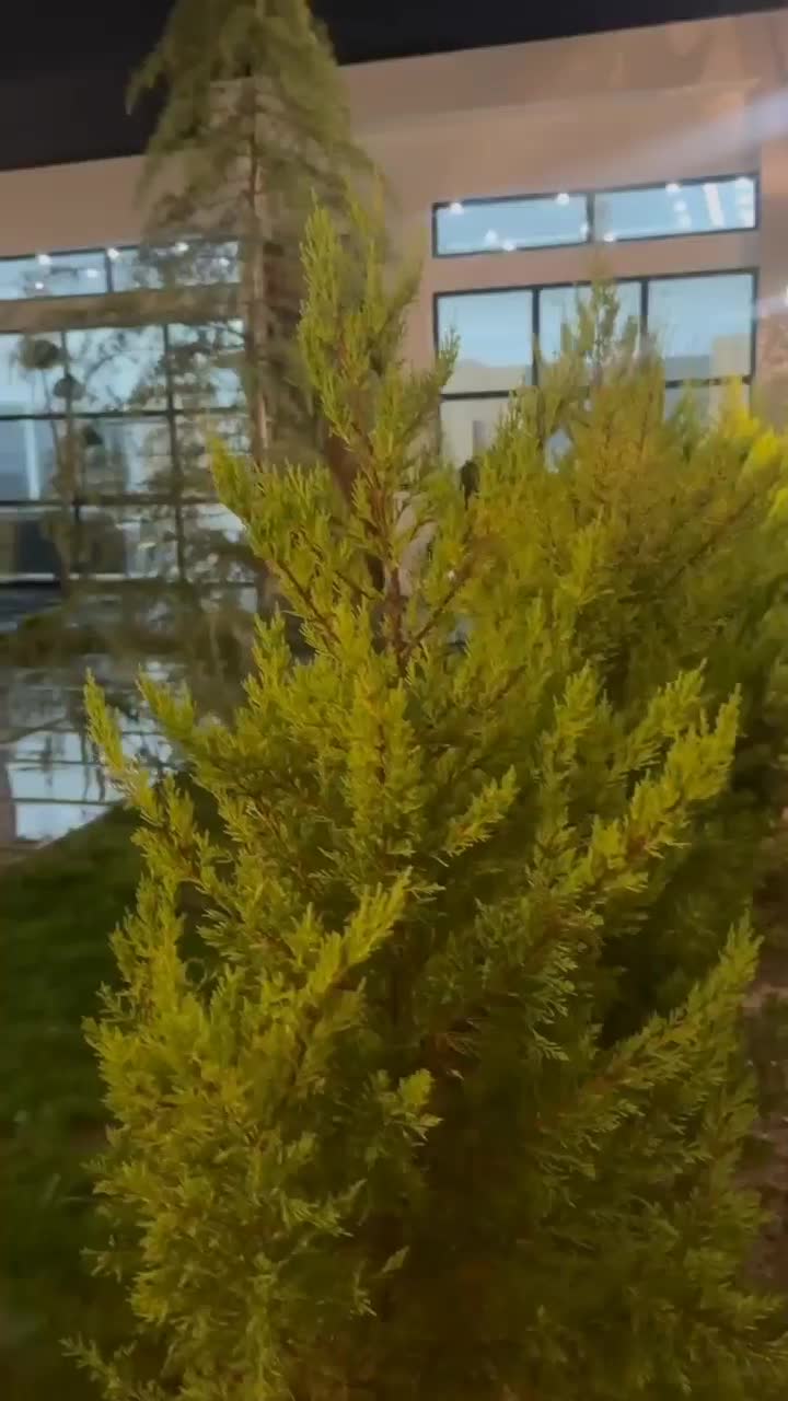 اجاره ویلا مدرن ماهان استخر آبگرم در کردان|اجارهٔ کوتاهمدت ویلا و باغ|کرج, کمالشهر|دیوار