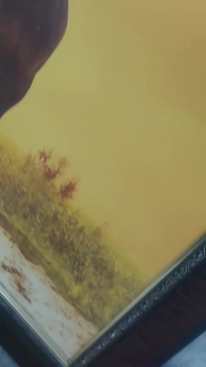 تابلو نو|تابلو، نقاشی، عکس|اهواز, کوی آغاجاری|دیوار