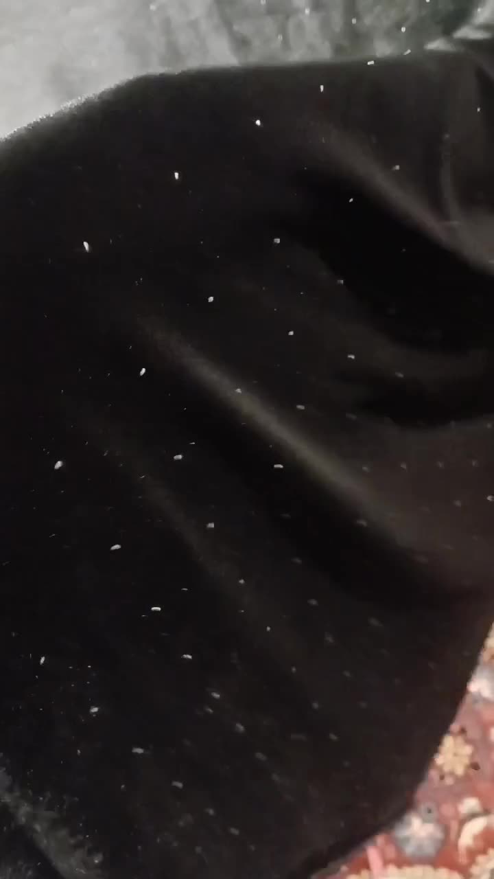 پارچه مخمل|لوازم خیاطی و بافتنی|میانه, |دیوار