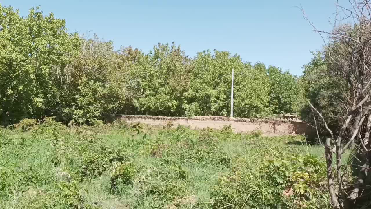 فروش باغ در لوکیشن عالی|فروش خانه و ویلا|دهاقان, |دیوار